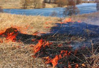 Весенние палы сухой травы чреваты пожарами — МЧС Кобрина!
