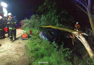 Под Жабинкой пьяный бесправник на Ford врезался в дерево