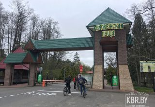 Новый маршрут «По зеленому коридору» появился в Беловежской пуще