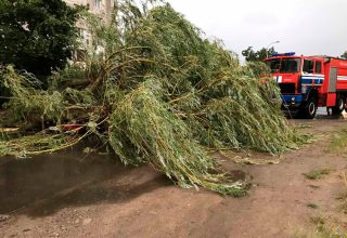 В результате стихии лагерь «Волна» остался без электричества