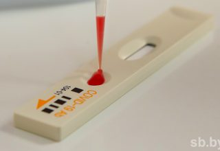 Прирост за сутки 902 случая COVID-19 в Беларуси