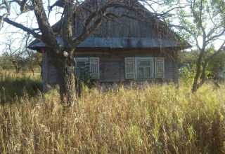 Мой (не)бюджетный участок: рассказывает кобринчанка