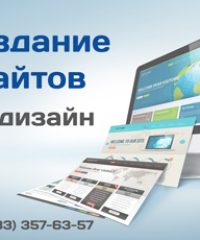 Студия «Вебафиша»