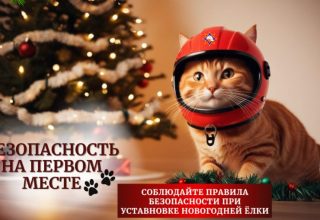 Ёлочные Советы: как избежать пожара в праздничные дни