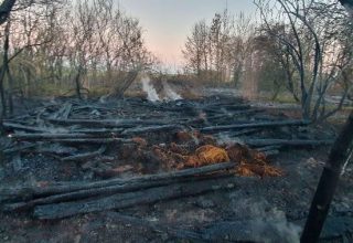 За прошлый год в Кобринском районе зарегистировано 202 пожара