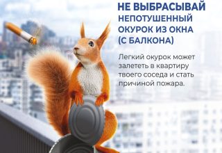 Не жди белочку – туши окурок!