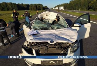 В аварии с лосем погиб гендиректор Брестского лесохозяйственного объединения