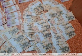 Житель Кобрина подделал деньги и намеревался изготовить фальшивые монеты