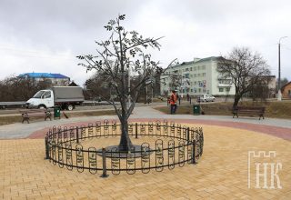 В Каменце появился первый в Беларуси памятник грецкому ореху