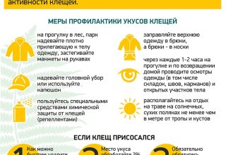 Более 1,5 тыс. жителей Брестской области с начала года пострадали от укусов клещей