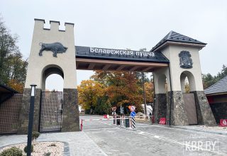 Подготовку к зимнему сезону начали в Беловежской пуще