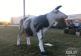 Кобринские предприятия в числе победителей профессиональных конкурсов области