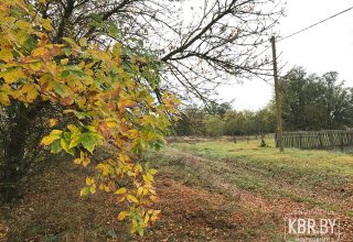В Беларуси начинается бабье лето: 9 сентября ожидается до +26 °С