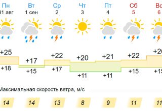 Начало сентября в Кобрине будет теплым, но дождливым