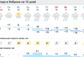 К концу следующей недели в Кобрине прогнозируют до 16 градусов мороза