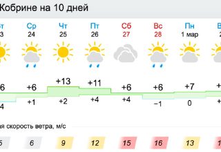 В четверг уже +13°С. О погоде в Кобрине на новой рабочей неделе