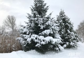 Как долго будут длиться снегопады на Брестчине?