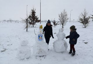 На жительницу Брестского района составили протокол за снеговика