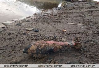 В Кобринском районе уничтожены минометные мины