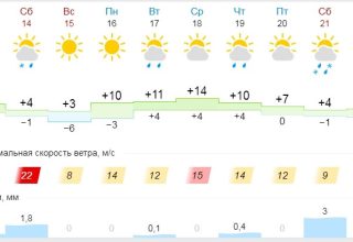 Пока, весна! В выходные в Кобрине обещают снег и метель