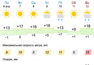 Все о погоде в Кобрин на неделе