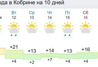 Погода в Кобрине на неделю