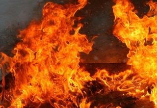 Пожар в поле у деревни Патрики в Кобринском районе