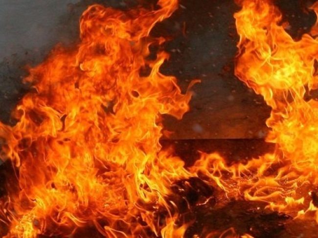 Пожар в поле у деревни Патрики в Кобринском районе