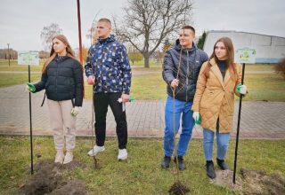Акция «Аллеи семейных деревьев» прошла в Кобрине