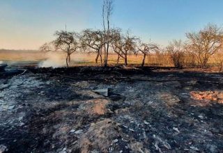 В Кобринском районе от пала травы загорелись четыре хозпостройки