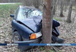 В Кобринском районе водитель уснул за рулем и въехал в дерево