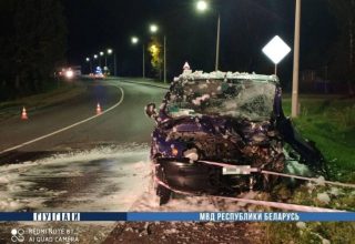 В Кобринском районе в результате лобового столкновения погибли два человека