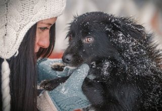 Как уроженка Кобрина бросила работу в Минске и переехала в деревню