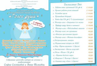 Программа благотворительной ярмарки «Голос души»