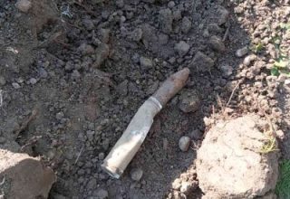 В Кобрине мужчина обнаружен боеприпас на своем участке