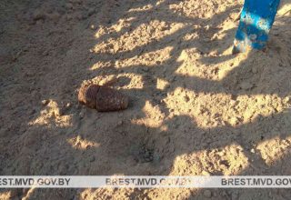 В Кобринском районе обнаружен боеприпас