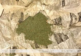 «Траву» нашел в траве житель Кобринского района
