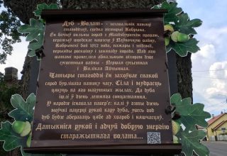 Исторический дуб в Кобрине отметили ко Дню города