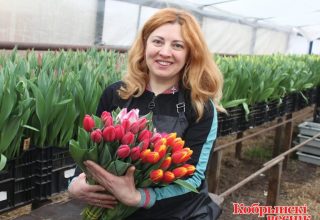 Цветочная «Фортуна»