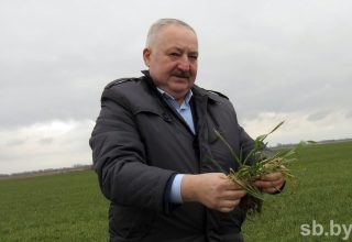 В Кобринском районе набирают темпы полевые работы