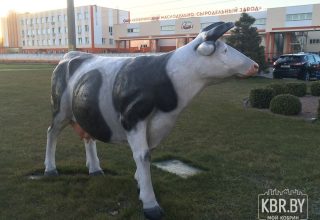 Директор Кобринского маслосырзавода в победителях конкурса
