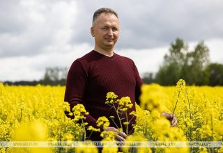 Как развивается сельхозпредприятие «КантриМилк» в Кобринском районе