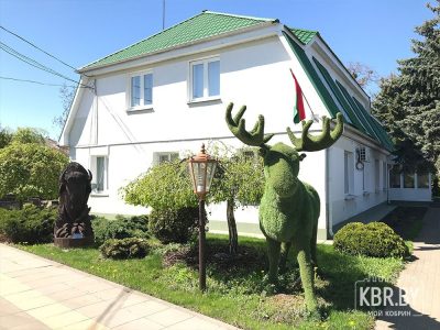 Кобринский опытный лесхоз