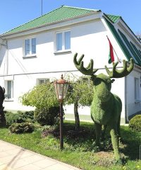 Кобринский опытный лесхоз