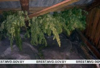 В Кобрине пассажир провозил марихуану в маршрутке