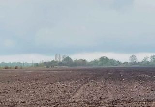 В Кобринской районе обнаружена минометная мина