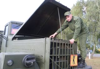 Хороший водитель — на вес золота