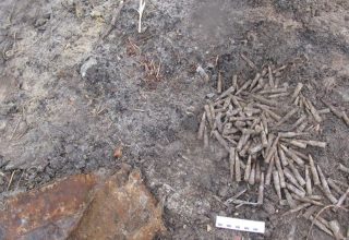 Коробку с патронами обнаружили при расчистке Муховца в Кобринском районе