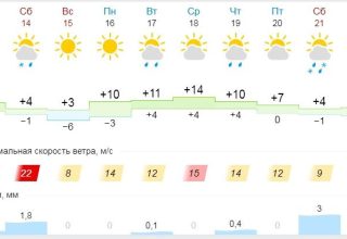 Пока, весна! В выходные в Кобрине обещают снег и метель