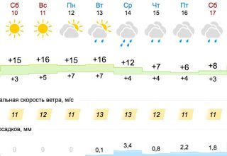 В выходные в Кобрине синоптики обещают +17°С